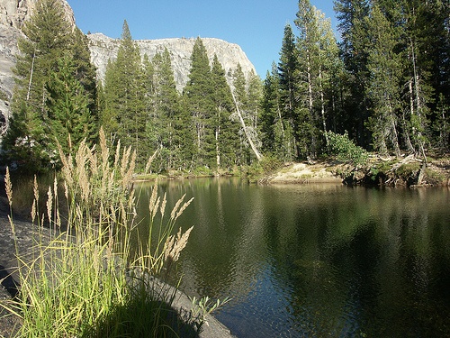 Hiking trails in Yosemite National Park, USA | Heather on her travels