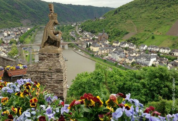 Single party cochem