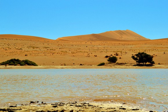 Water in Deserts – A Journey through Namibia's Unexpected | Heather on ...