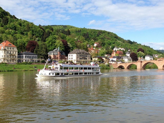 rhine river cruise heidelberg