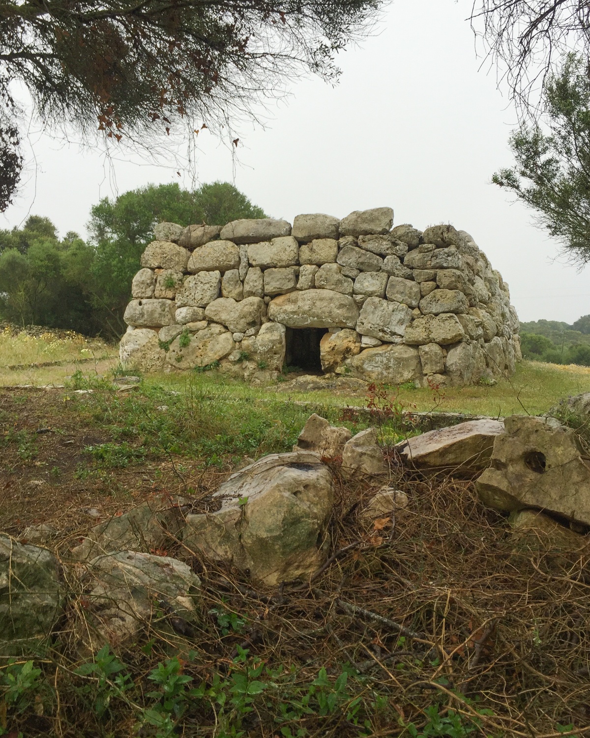 Naveta d\'es Tudons - Discovering the Talayotic culture of Menorca ...