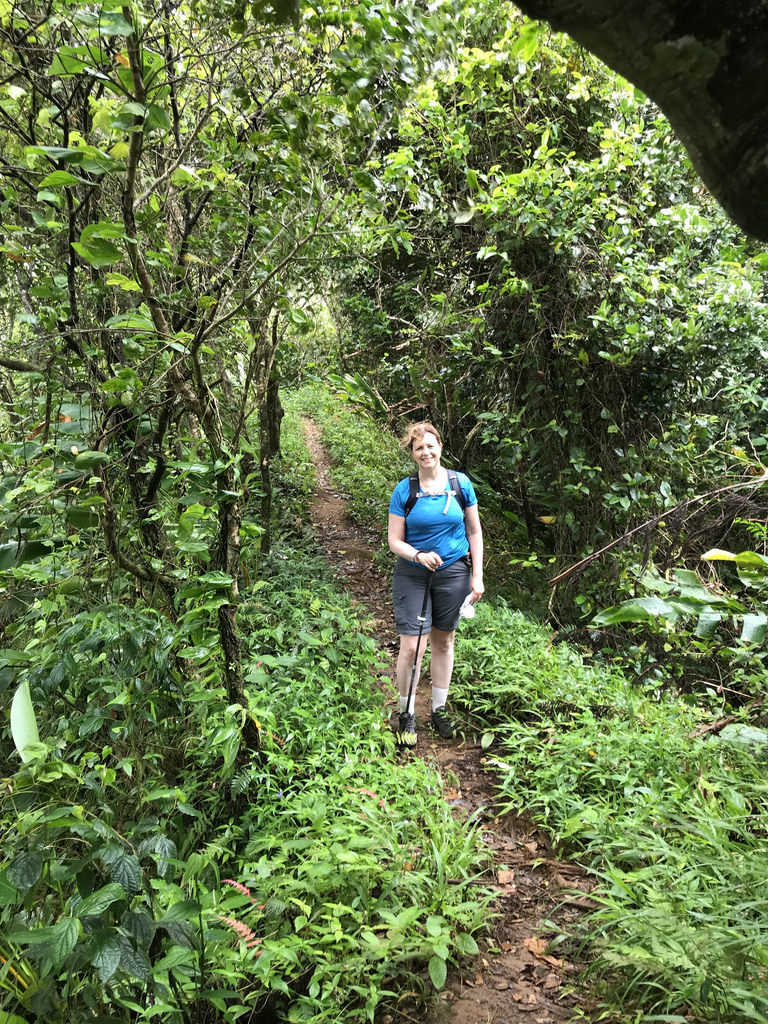 Hiking in Grenada - waterfalls, hot springs and plantation walks